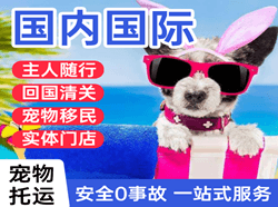 阿里普兰机场邮寄国际宠物托运 【国